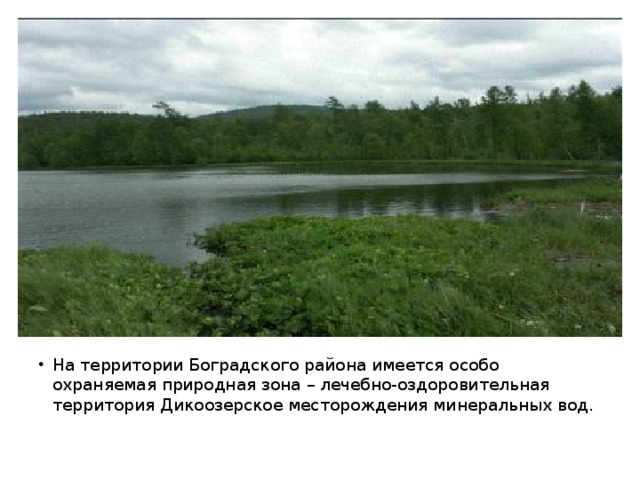 На территории Боградского района имеется особо охраняемая природная зона – лечебно-оздоровительная территория Дикоозерское месторождения минеральных вод. 