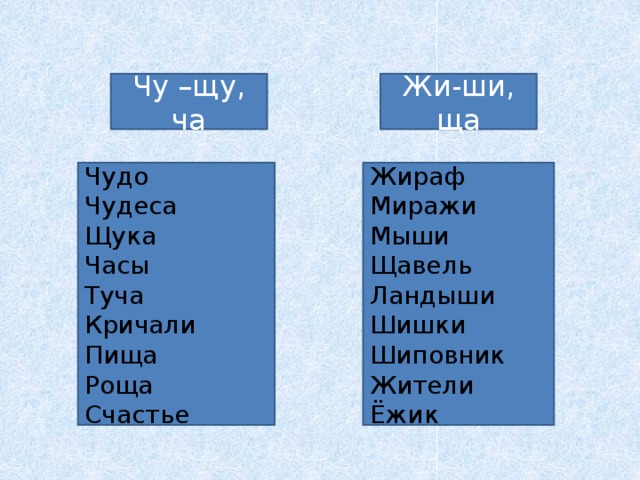 Жи-ши, ща Чу –щу, ча Жираф Чудо Чудеса Миражи Мыши Щука Часы Щавель Туча Ландыши Кричали Шишки Пища Шиповник Роща Жители Счастье Ёжик