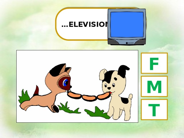 … ELEVISION F M Т