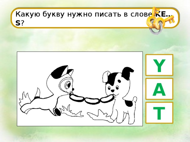 Они обозначены на рисунке буквами впиши только нужные буквы без пробелов в алфавитном порядке