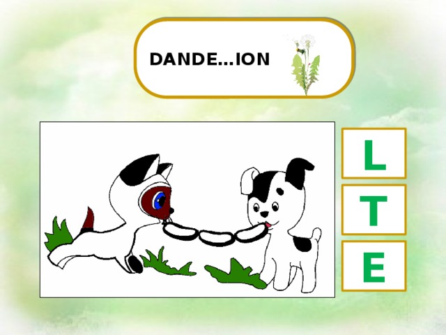 DANDE…ION L T E