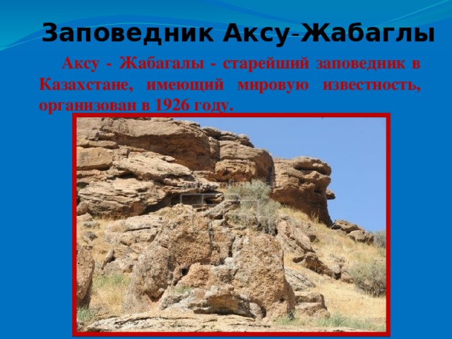 Заповедник  Аксу - Жабаглы  Аксу - Жабагалы - старейший заповедник в Казахстане, имеющий мировую известность, организован в 1926 году.