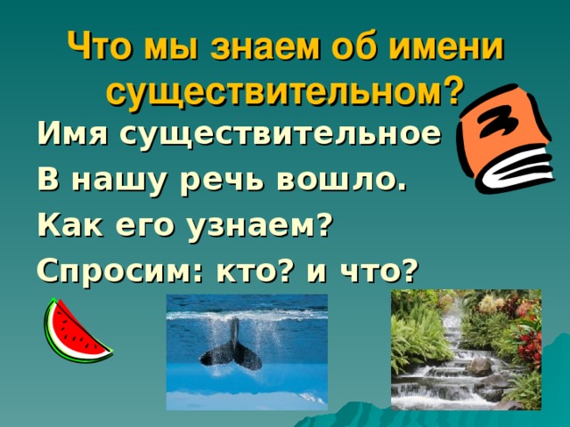 Что мы знаем об имени существительном? Имя существительное В нашу речь вошло. Как его узнаем? Спросим: кто? и что?