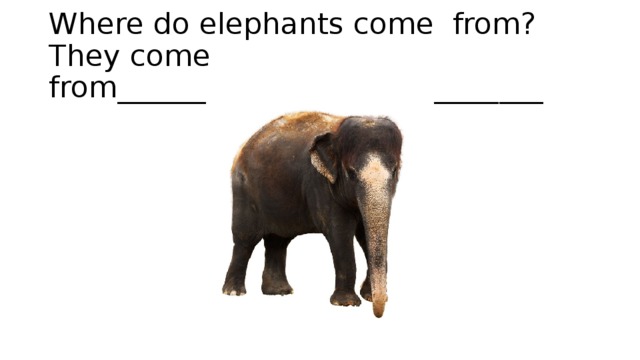 Where do elephants come from? They come from_____________________________