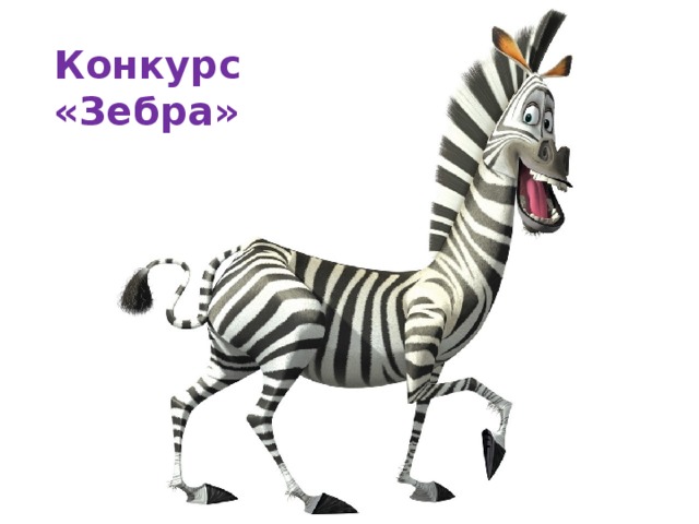 Конкурс «Зебра»