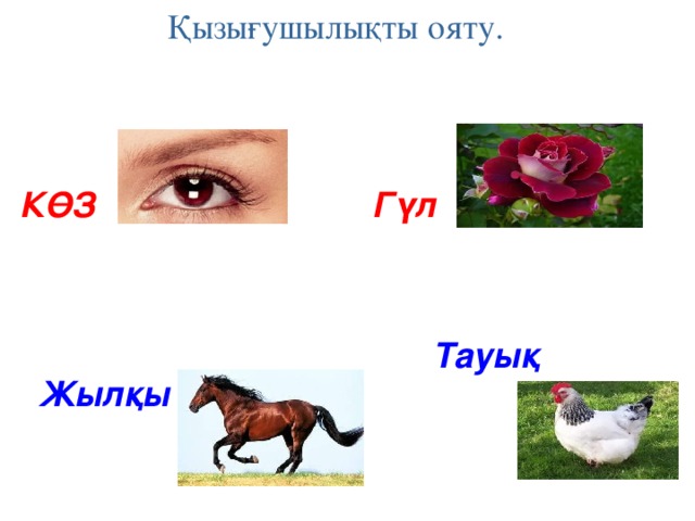 Қызығушылықты ояту. КӨЗ Гүл Тауық Жылқы