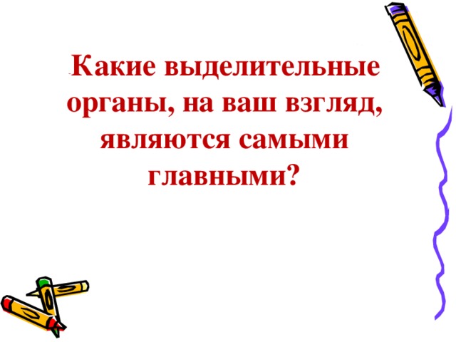 - Какие выделительные органы, на ваш взгляд, являются самыми главными?