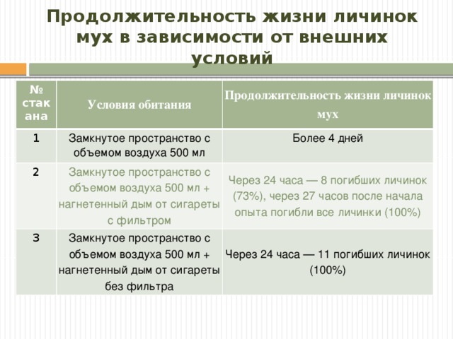 Продолжительность жизни личинок мух в зависимости от внешних условий № стакана Условия обитания 1 Продолжительность жизни личинок мух Замкнутое пространство с объемом воздуха 500 мл 2 Замкнутое пространство с объемом воздуха 500 мл + нагнетенный дым от сигареты с фильтром Более 4 дней 3 Через 24 часа — 8 погибших личинок (73%), через 27 часов после начала опыта погибли все личинки (100%) Замкнутое пространство с объемом воздуха 500 мл + нагнетенный дым от сигареты без фильтра Через 24 часа — 11 погибших личинок (100%)