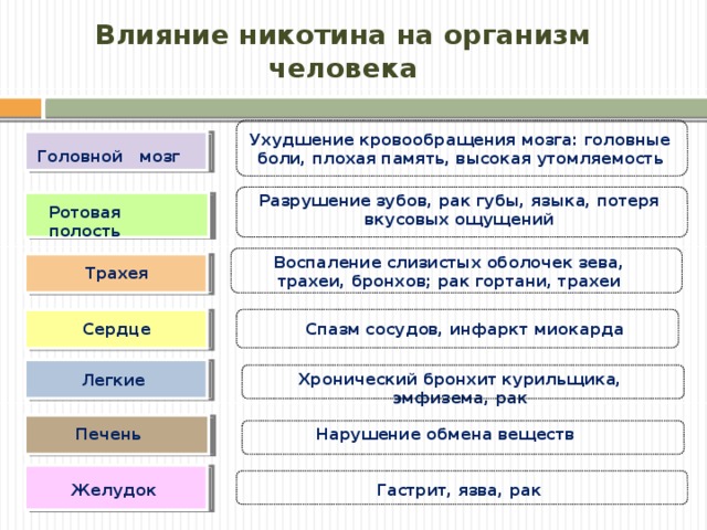 Влияние никотина на живые организмы проект