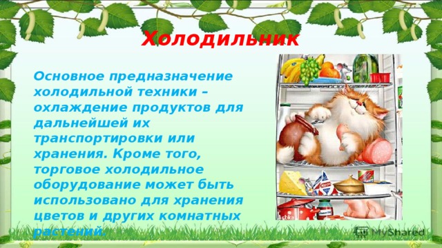 Холодильник Основное предназначение холодильной техники – охлаждение продуктов для дальнейшей их транспортировки или хранения. Кроме того, торговое холодильное оборудование может быть использовано для хранения цветов и других комнатных растений.