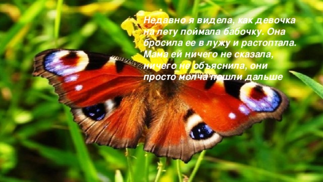 Недавно я видела, как девочка на лету поймала бабочку. Она бросила ее в лужу и растоптала. Мама ей ничего не сказала, ничего не объяснила, они просто молча пошли дальше