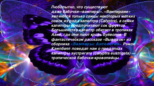 Любопытно, что существуют даже бабочки-«вампиры». «Вампирами» являются только самцы некоторых мелких совок из рода калиптра (Calyptra), а самки калиптры предпочитают сок фруктов. Большинство калиптр обитает в тропиках  Азии , где они пьют кровь буйволов. В фантастическом рассказе «Выводок» из сборника  «Вампиры: Антология»  Рэмси Кэмпбелл поведал нам о проделках калиптры эустригата (Calyptra eustrigata) — тропической бабочки-кровопийцы .