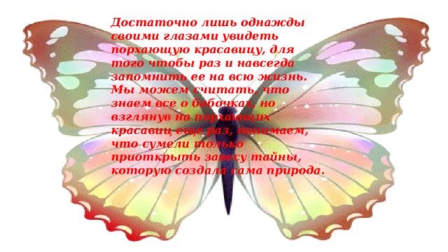 Достаточно лишь однажды своими глазами увидеть порхающую красавицу, для того чтобы раз и навсегда запомнить ее на всю жизнь. Мы можем считать, что знаем все о бабочках, но взглянув на порхающих красавиц еще раз, понимаем, что сумели только приоткрыть завесу тайны, которую создала сама природа.