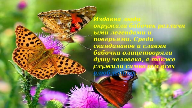 Издавна люди окружали бабочек различными легендами и поверьями. Среди скандинавов и славян бабочки олицетворяли душу человека, а также служили символом всех  влюбленных .