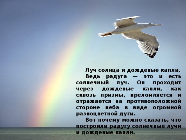 Луч солнца и дождевые капли.  Ведь радуга — это и есть солнечный луч. Он проходит через дождевые капли, как сквозь призмы, преломляется и отражается на противоположной стороне неба в виде огромной разноцветной дуги.  Вот почему можно сказать, что построили радугу солнечные лучи и дождевые капли.