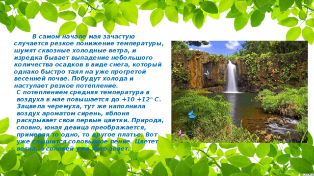          В самом начале мая зачастую случается резкое понижение температуры, шумят сквозные холодные ветра, и изредка бывает выпадение небольшого количества осадков в виде снега, который однако быстро таял на уже прогретой весенней почве. Побудут холода и наступает резкое потепление.  С потеплением средняя температура в воздуха в мае повышается до +10 +12° C. Зацвела черемуха, тут же наполнила воздух ароматом сирень, яблоня раскрывает свои первые цветки. Природа, словно, юная девица преображается, примеряя то одно, то другое платье. Вот уже слышится соловьиное пение. Цветет весна, а соловей уже лето зовет.