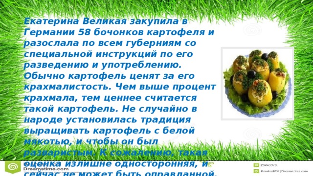 Екатерина Великая закупила в Германии 58 бочонков картофеля и разослала по всем губерниям со специальной инструкций по его разведению и употреблению.   Обычно картофель ценят за его крахмалистость. Чем выше процент крахмала, тем ценнее считается такой картофель. Не случайно в народе установилась традиция выращивать картофель с белой мякотью, и чтобы он был разваристым. К сожалению, такая оценка излишне односторонняя, и сейчас не может быть оправданной.