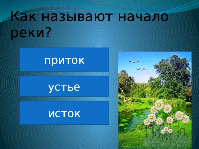 Как называют начало реки? приток устье исток