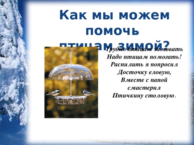 Как мы можем помочь птицам зимой? Трудно птицам зимовать Надо птицам помогать! Распилить я попросил Досточку еловую, Вместе с папой смастерил Птичкину столовую .