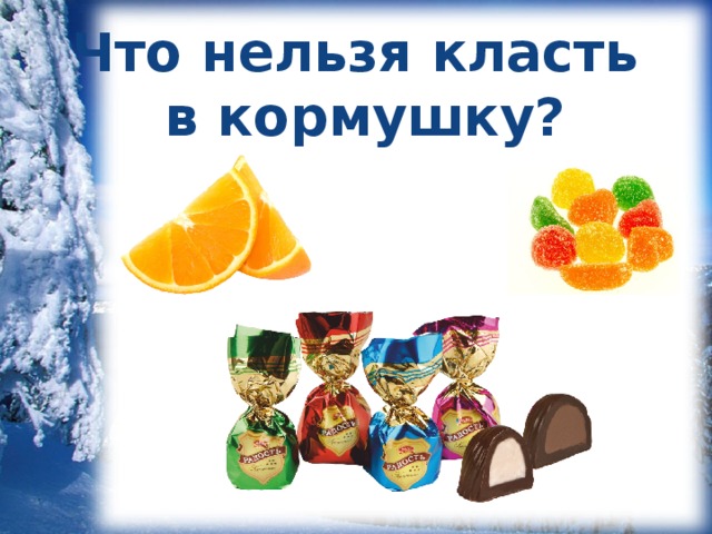 Что нельзя класть в кормушку?