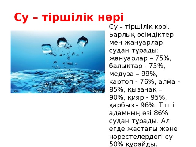 Су – тіршілік нәрі Су – тіршілік көзі. Барлық өсімдіктер мен жануарлар судан тұрады: жануарлар – 75%, балықтар - 75%, медуза – 99%, картоп - 76%, алма - 85%, қызанақ – 90%, қияр - 95%, қарбыз - 96%. Тіпті адамның өзі 86% судан тұрады. Ал егде жастағы және нәрестелердегі су 50% құрайды.