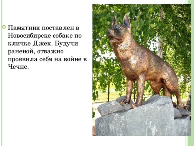 Памятник поставлен в Новосибирске собаке по кличке Джек. Будучи раненой, отважно проявила себя на войне в Чечне.