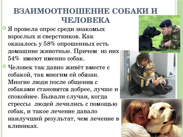 Хорошее отношение к животным сочинение. Взаимоотношения человека и собаки. Отношение к животному. Об отношении к животным. Отношение человека к животному.