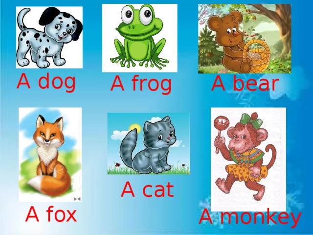A dog A frog A bear A cat A fox A monkey
