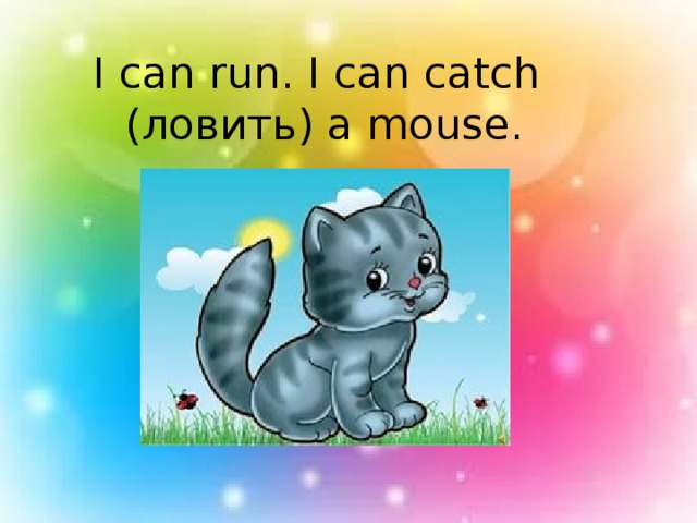 I can run. I can catch (ловить) a mouse.