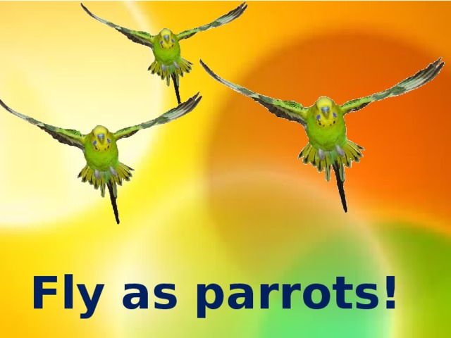 Fly as parrots!