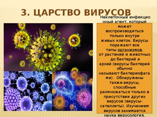 3. Царство Вирусов   Неклеточный инфекционный агент, который может воспроизводиться только внутри живых клеток. Вирусы поражают все типы  организмов , от растений и животных до бактерий и архей (вирусы бактерий обычно называют бактериофагами). Обнаружены также вирусы, способные размножаться только в присутствии других вирусов (вирусы-сателлиты). Изучением вирусов занимается наука вирусология, раздел  микробиологии .