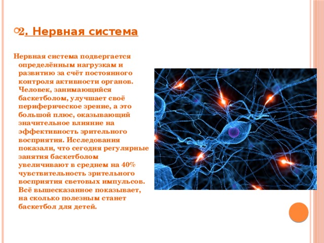 2 . Нервная система
