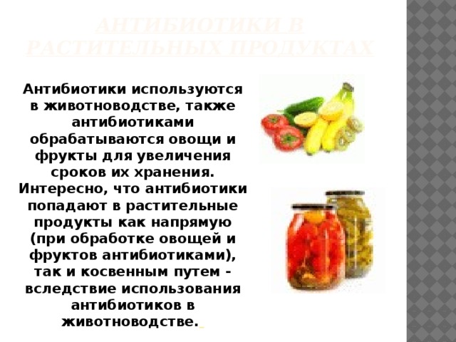 Антибиотики в растительных продуктах Антибиотики используются в животноводстве, также антибиотиками обрабатываются овощи и фрукты для увеличения сроков их хранения. Интересно, что антибиотики попадают в растительные продукты как напрямую (при обработке овощей и фруктов антибиотиками), так и косвенным путем - вследствие использования антибиотиков в животноводстве.