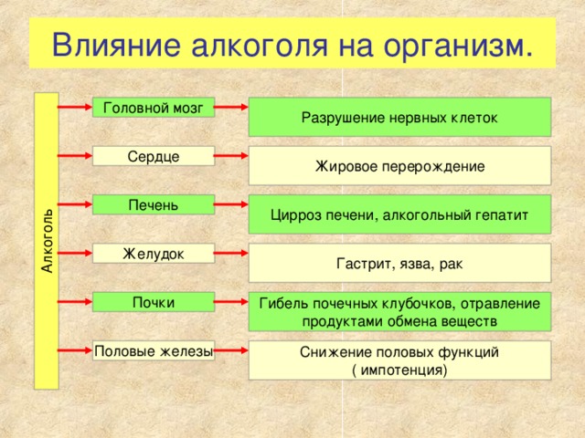 Алкоголь Влияние алкоголя на организм. Разрушение нервных клеток Головной мозг Сердце Жировое перерождение Печень Цирроз печени, алкогольный гепатит Желудок Гастрит, язва, рак Почки Гибель почечных клубочков, отравление продуктами обмена веществ Половые железы Снижение половых функций ( импотенция)