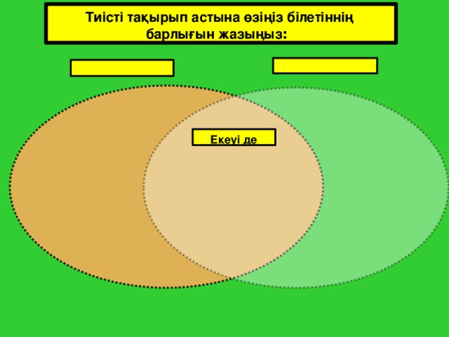 Тиісті тақырып астына өзіңіз білетіннің барлығын жазыңыз : Екеуі де 13