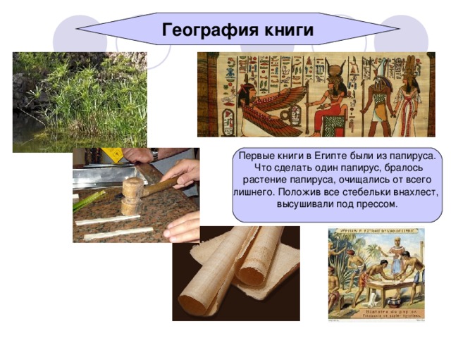 География книги Первые книги в Египте были из папируса.  Что сделать один папирус, бралось  растение папируса, очищались от всего лишнего. Положив все стебельки внахлест, высушивали под прессом.