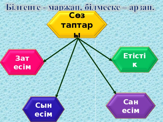 Сөз таптары Етістік Зат есім Сан есім Сын есім 4