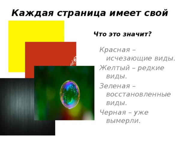 Каждая страница имеет свой цвет. Что это значит? Красная – исчезающие виды. Желтый – редкие виды. Зеленая – восстановленные виды. Черная – уже вымерли.