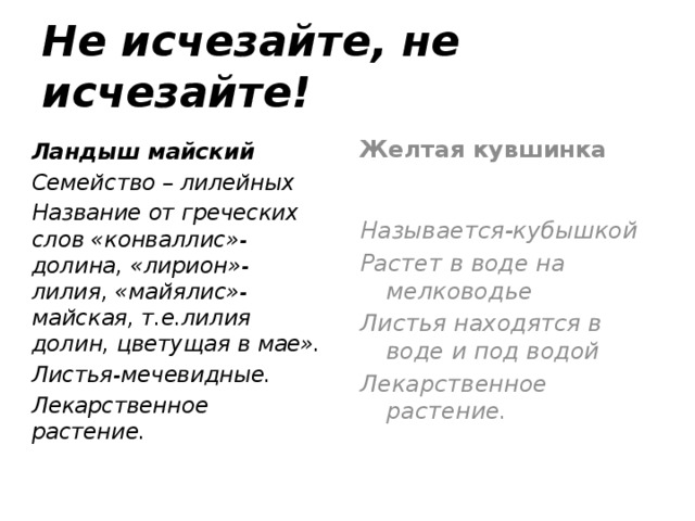 Не исчезайте, не исчезайте! Ландыш майский Семейство – лилейных Название от греческих слов «конваллис»-долина, «лирион»-лилия, «майялис»-майская, т.е.лилия долин, цветущая в мае». Листья-мечевидные. Лекарственное растение. Желтая кувшинка Называется-кубышкой Растет в воде на мелководье Листья находятся в воде и под водой Лекарственное растение.