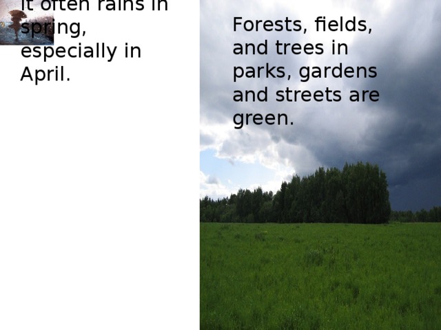 It often rains in spring, especially in April. Forests, fields, and trees in parks, gardens and streets are green.