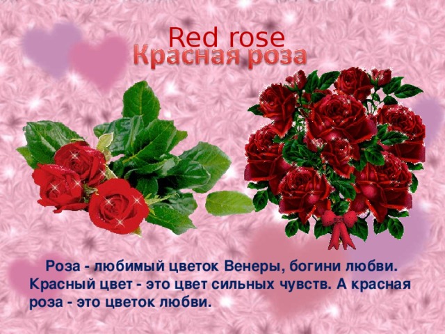 Red rose  Роза - любимый цветок Венеры, богини любви. Красный цвет - это цвет сильных чувств. А красная роза - это цветок любви.