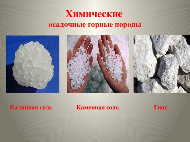 Химические   осадочные  горные  породы  Калийная соль Каменная соль Гипс