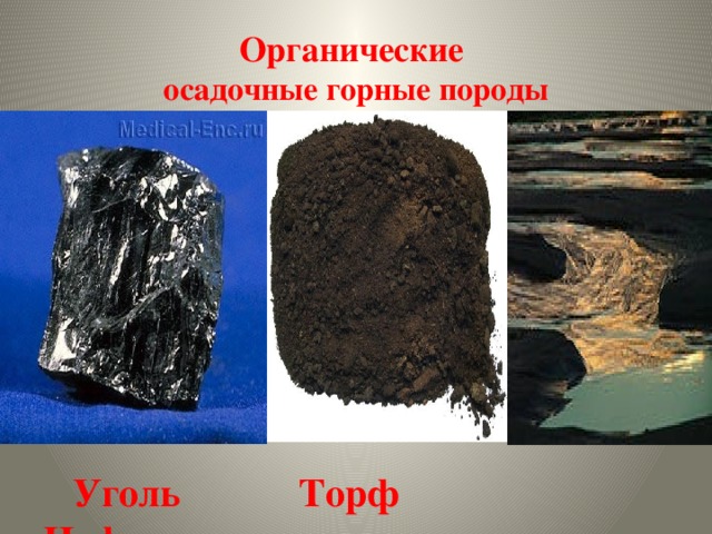 Органические  осадочные горные породы  Уголь Торф Нефть