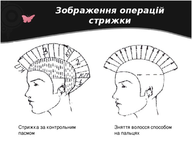 Зображення операцій стрижки Стрижка за контрольним пасмом Зняття волосся способом на пальцях