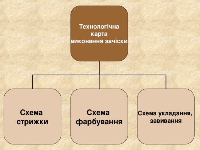 Технологічна  карта виконання зачіски Схема стрижки Схема фарбування Схема укладання, завивання