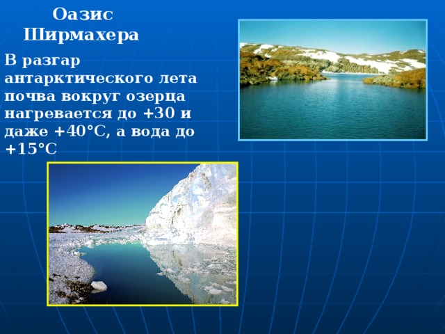 Оазис  Ширмахера В разгар антарктического лета почва вокруг озерца нагревается до +30 и даже +40°С, а вода до +15°С