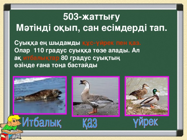 503-жаттығу  Мәтінді оқып, сан есімдерді тап. Суыққа ең шыдамды құс-үйрек пен қаз. Олар 110 градус суыққа төзе алады. Ал ақ итбалықтар 80 градус суықтың өзінде ғана тоңа бастайды