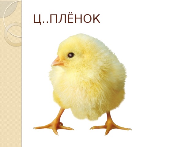 Ц..ПЛЁНОК