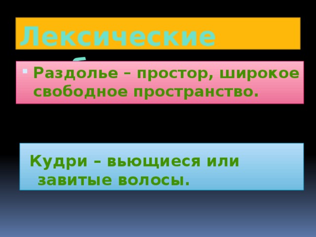 Лексические особенности Раздолье – простор, широкое свободное пространство.   Кудри – вьющиеся или завитые волосы.