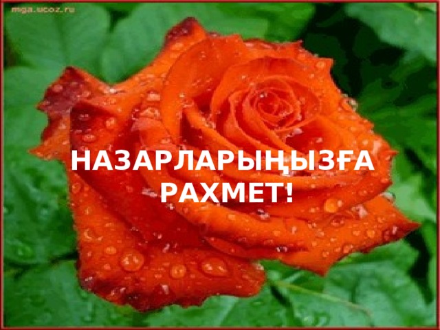 Назарларыңызға рахмет!